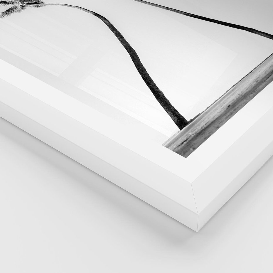 Plakat w ramie 30x40 - Samotne Palmy - czarno biała fotografia, dwie samotne palmy - rama biała