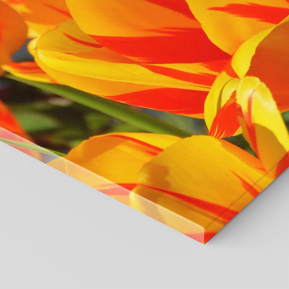 Obraz na płótnie 120x60 - Kwiatowa Harmonia - kwiaty, kwiat