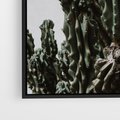 Obraz w ramie 50x70 - Boho oaza wśród kaktusów - kaktusy, pustynia - rama czarna