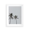 Plakat w ramie 30x40 - Tropikalny Raj: Palmy i Niebo - palmy, niebo - rama biała
