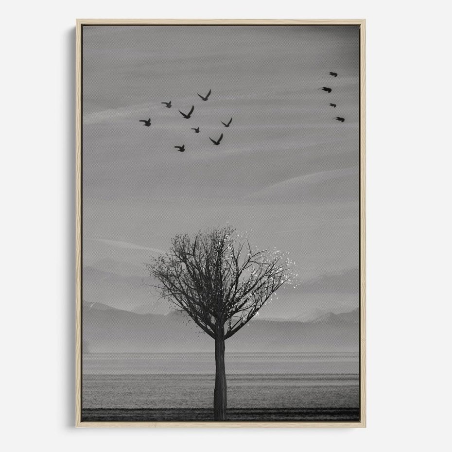 Obraz w ramie 50x70 - Samotne Drzewo - samotne drzewo w polu, czarno białe zdjęcie - rama drewno