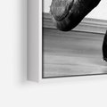 Obraz w ramie 70x100 - Taniec Zmysłów - artystyczne zdjęcie, odcienie szarości - rama biała