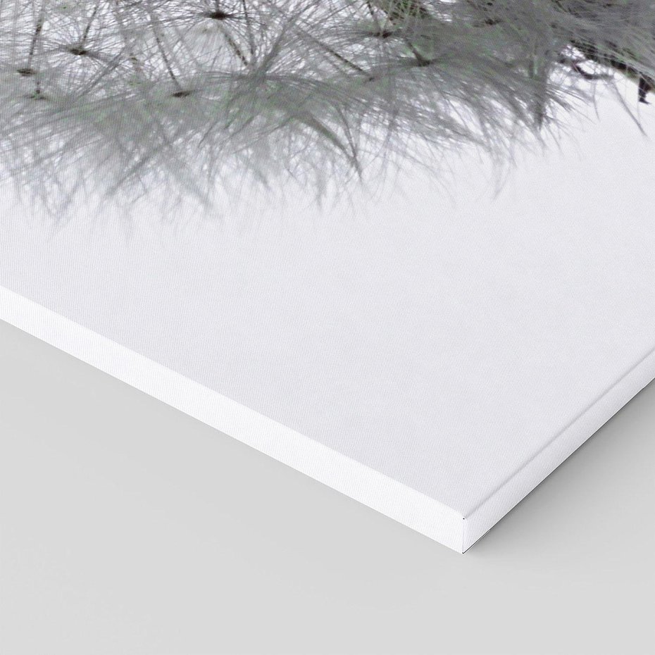 Obraz na płótnie 100x50 - Lekkość Przemijania - dmuchawiec, makro