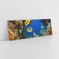 Obraz na płótnie 120x40 - Podwodne królestwo rafy koralowej - rafa, koralowa