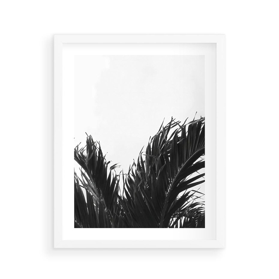 Plakat w ramie 40x50 - Tropikalna Uroda w Czerni i Bieli - fotografia czarno biała, liście palmy - rama biała