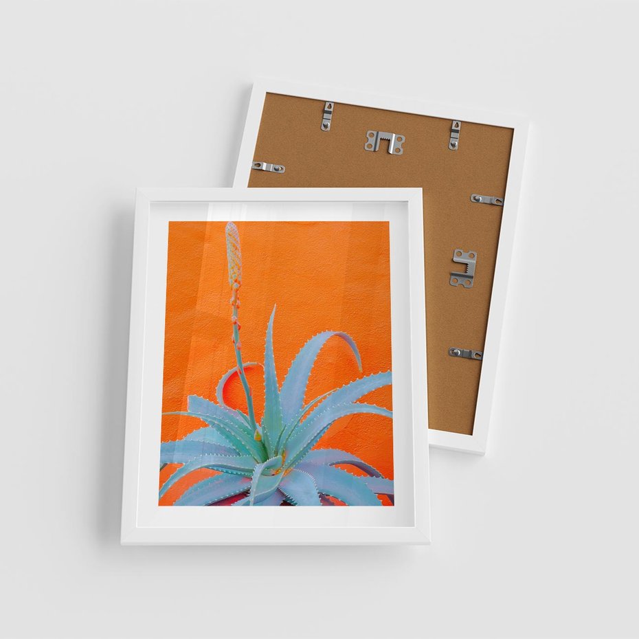 Plakat w ramie 40x50 - Naturalna Harmonia - kaktusy, liście - rama biała