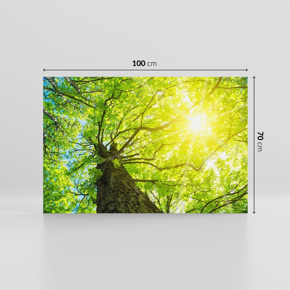 Obraz na płótnie 100x70 - Drzewo pod Słońcem: Łączność z Naturą - drzewo, słońce