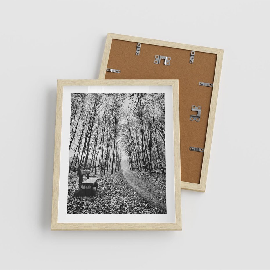 Plakat w ramie 40x50 - Spadające Liście - czarno białe zdjecie, park - rama drewno