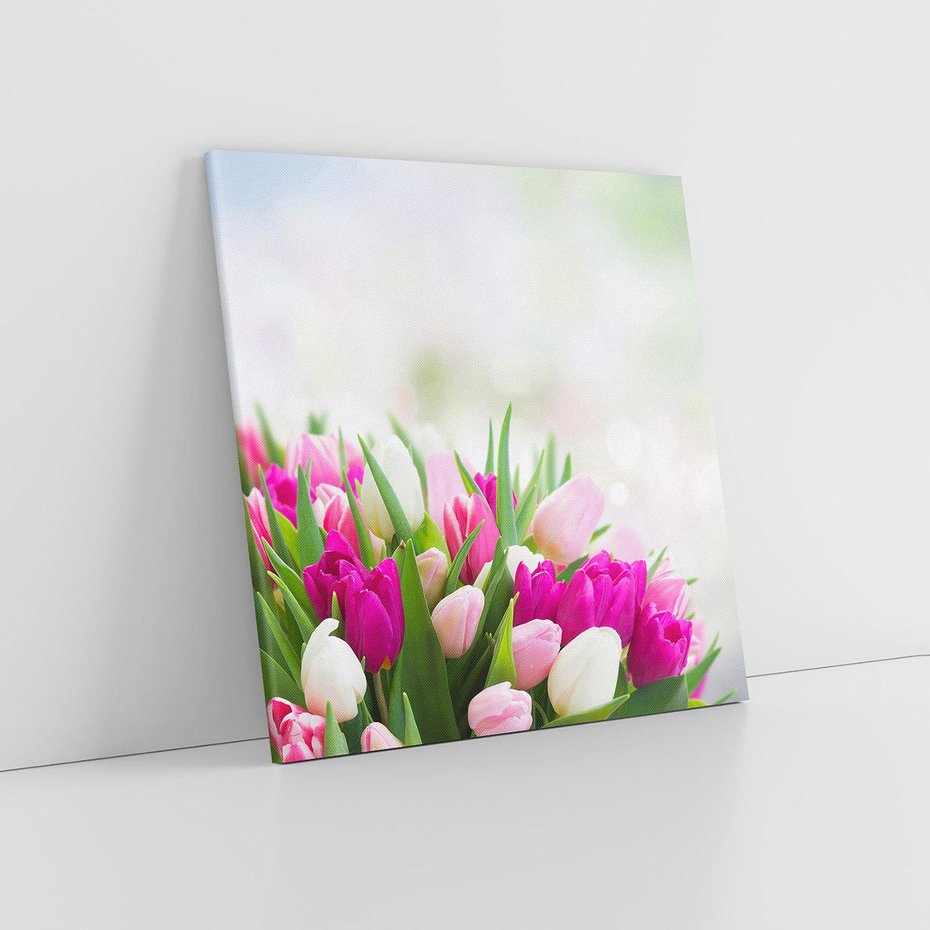 Obraz na płótnie 60x60 - Tulipany w pełnym rozkwicie - tulipany, kwiaty