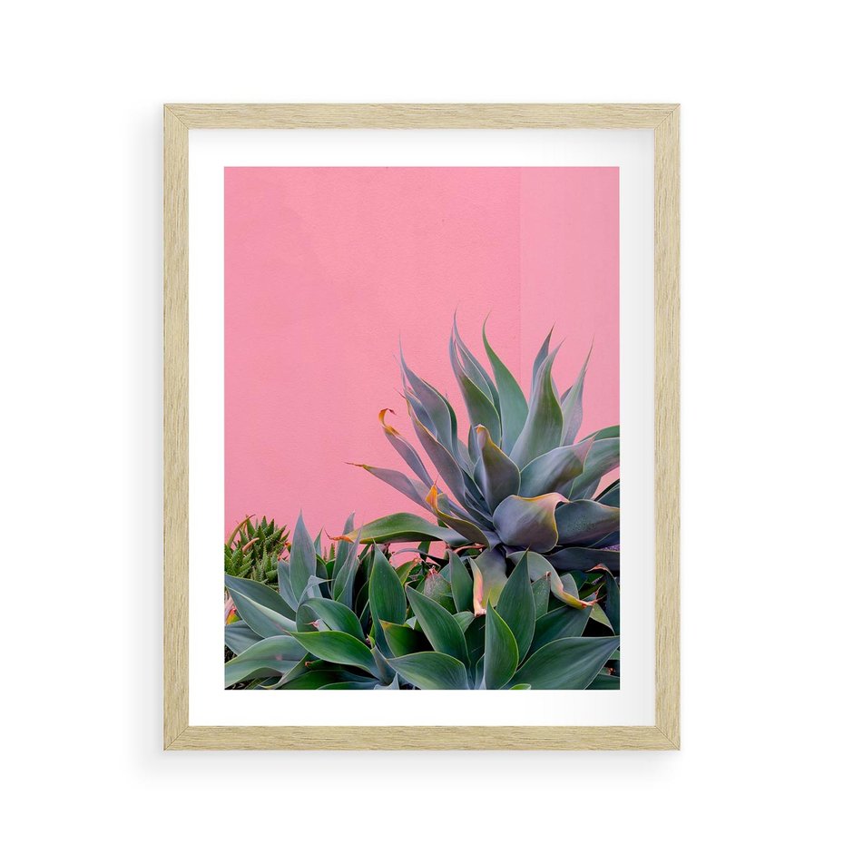 Plakat w ramie 40x50 - Tropikalne Liście na Różowej Ścianie - różowa ściana, tropikalne liście na jej tle - rama drewno