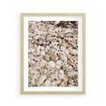 Plakat w ramie 40x50 - Symfonia Natury - kompozycja z białych muszli - rama drewno
