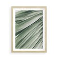 Plakat w ramie 50x70 - Tropikalna Oaza - zielony liść palmy, zieleń - rama drewno