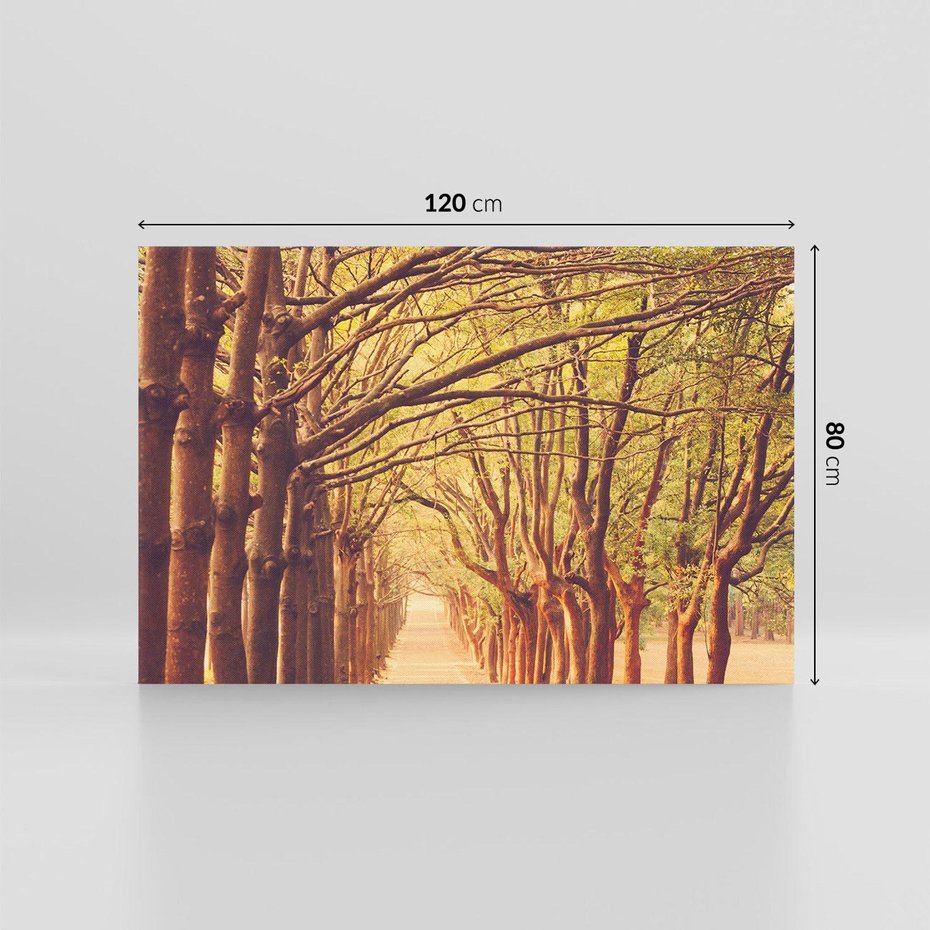 Obraz na płótnie 120x80 - Wędrówka między drzewami - droga, drzewa