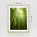 Plakat w ramie 40x50 - Siła Natury - drzewa, las - rama drewno