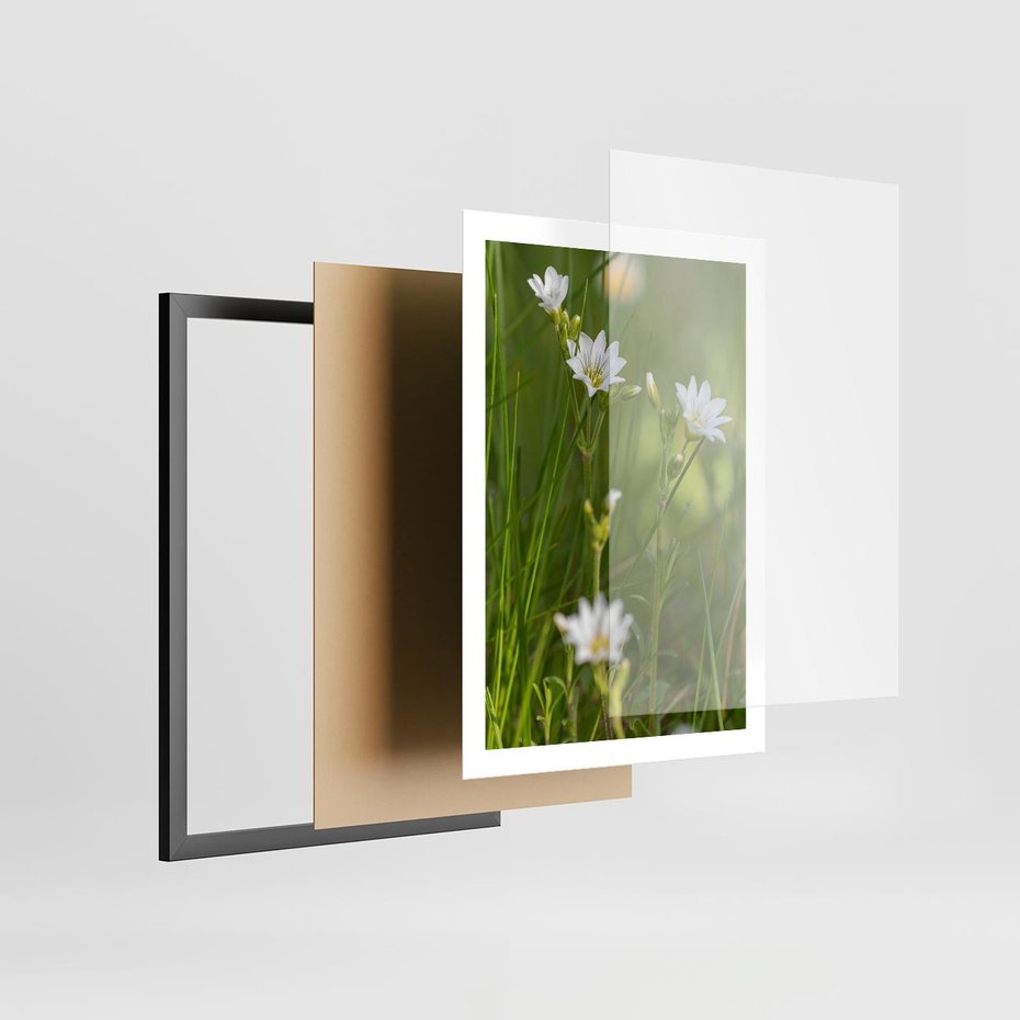 Plakat w ramie 50x70 - Kolorowa łąka - stokrotki, łąka - rama czarna