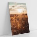 Obraz na płótnie 70x100 - Zachwyt zachodem słońca na łące - zachód, słońca