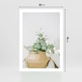 Plakat bez ramy 50x70 - Eukaliptusowa Świeżość - eukaliptus, liście w koszu z wikliny