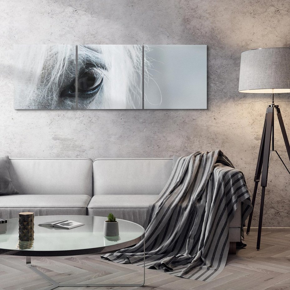 Obraz na płótnie 90x30 - Oko Mocy - czarno białe zdjęcie, zbliżenie makro na oko konia