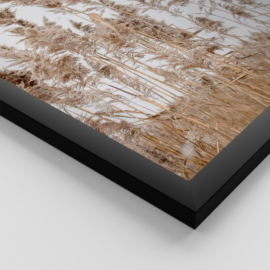 Zestaw obrazy w ramie 50x70 galeria - Trawy, morze, plaża, pampas - rama czarna