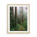 Plakat w ramie 50x70 - Mgliste Marzenia - artystyczna fotografia, las - rama drewno