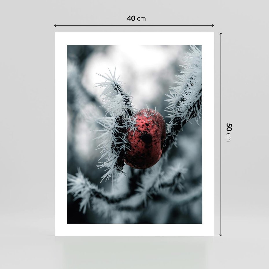 Plakat bez ramy 40x50 - Chwila Zimowego Uroku - zima, ośnieżona gałązka