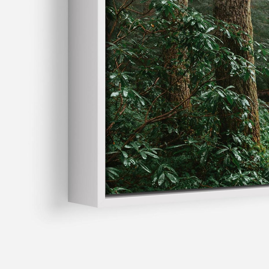 Obraz w ramie 50x50 - Mgliste Marzenia - artystyczna fotografia, las - rama biała