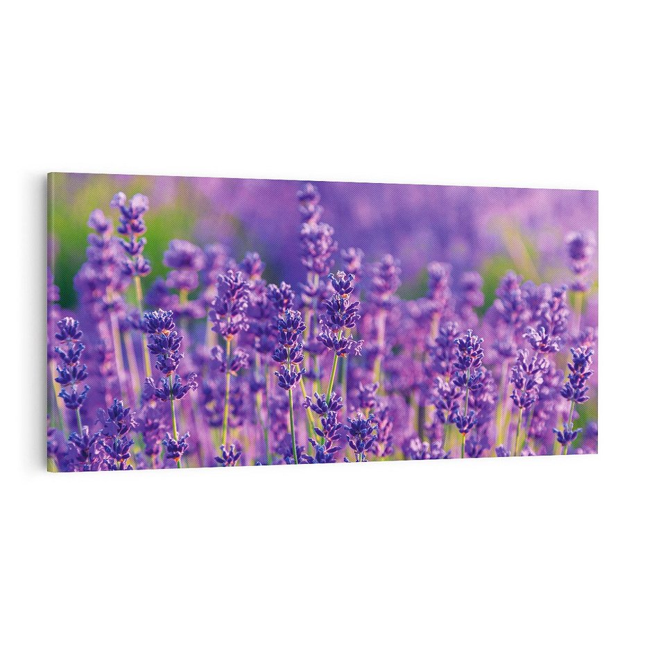 Obraz na płótnie 120x60 - Zaklęta lawenda - lawenda, kwiaty