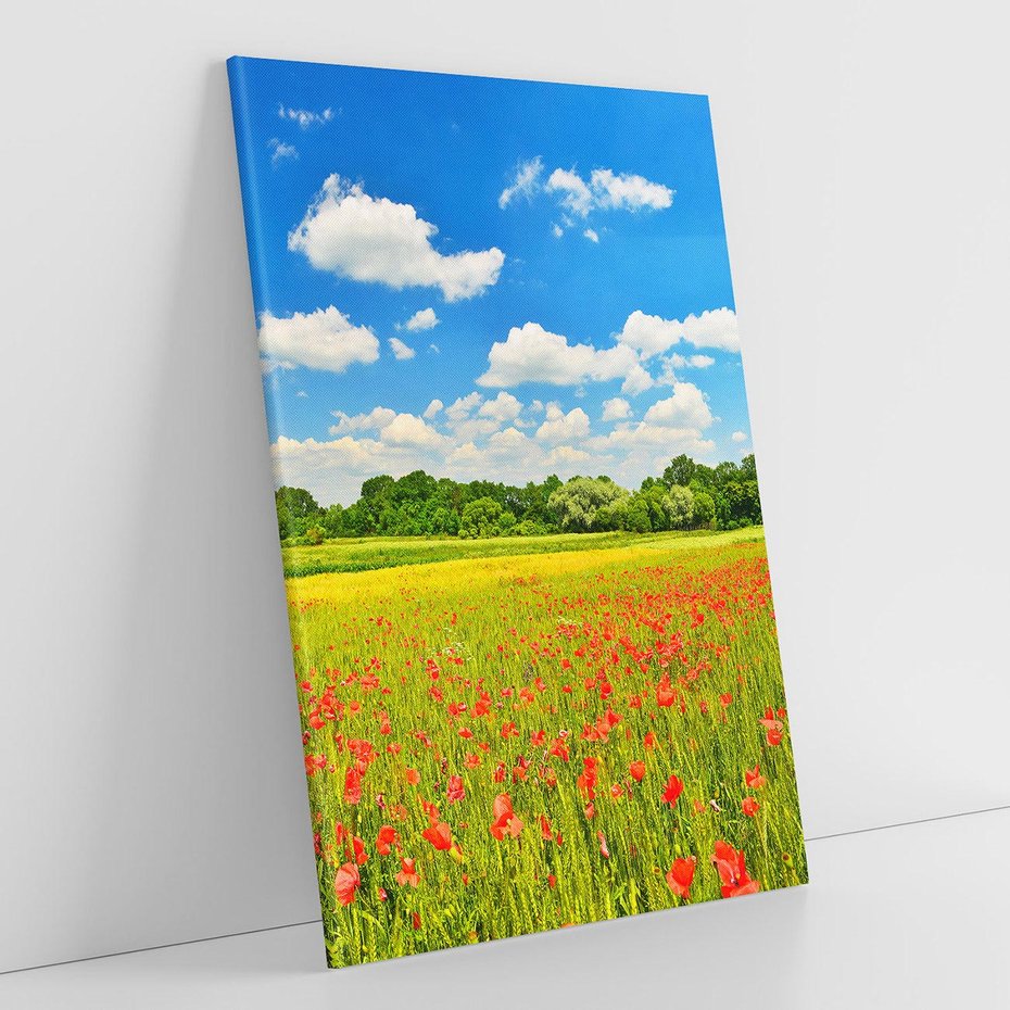 Obraz na płótnie 80x120 - Malownicze maki na łące - maki, łąka