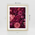 Plakat w ramie 40x50 - Róże - piękno kwiatów - róże, kwiaty - rama drewno