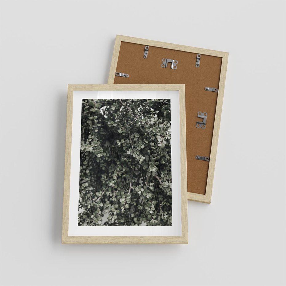 Plakat w ramie 30x40 - Jasnozielone Liście i Gałązki - liście, gałązki - rama drewno