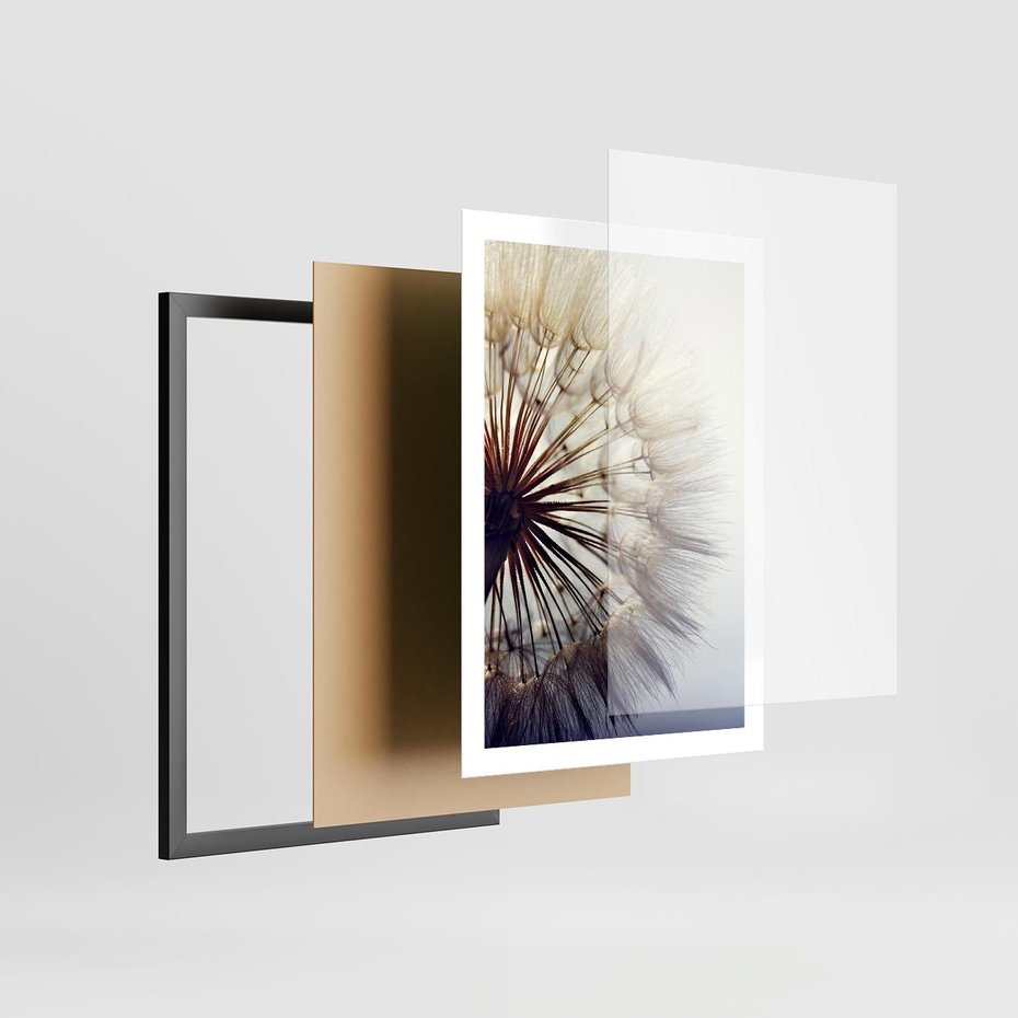 Plakat w ramie 50x70 - Makro piękno dmuchawca - makro, dmuchawiec - rama czarna