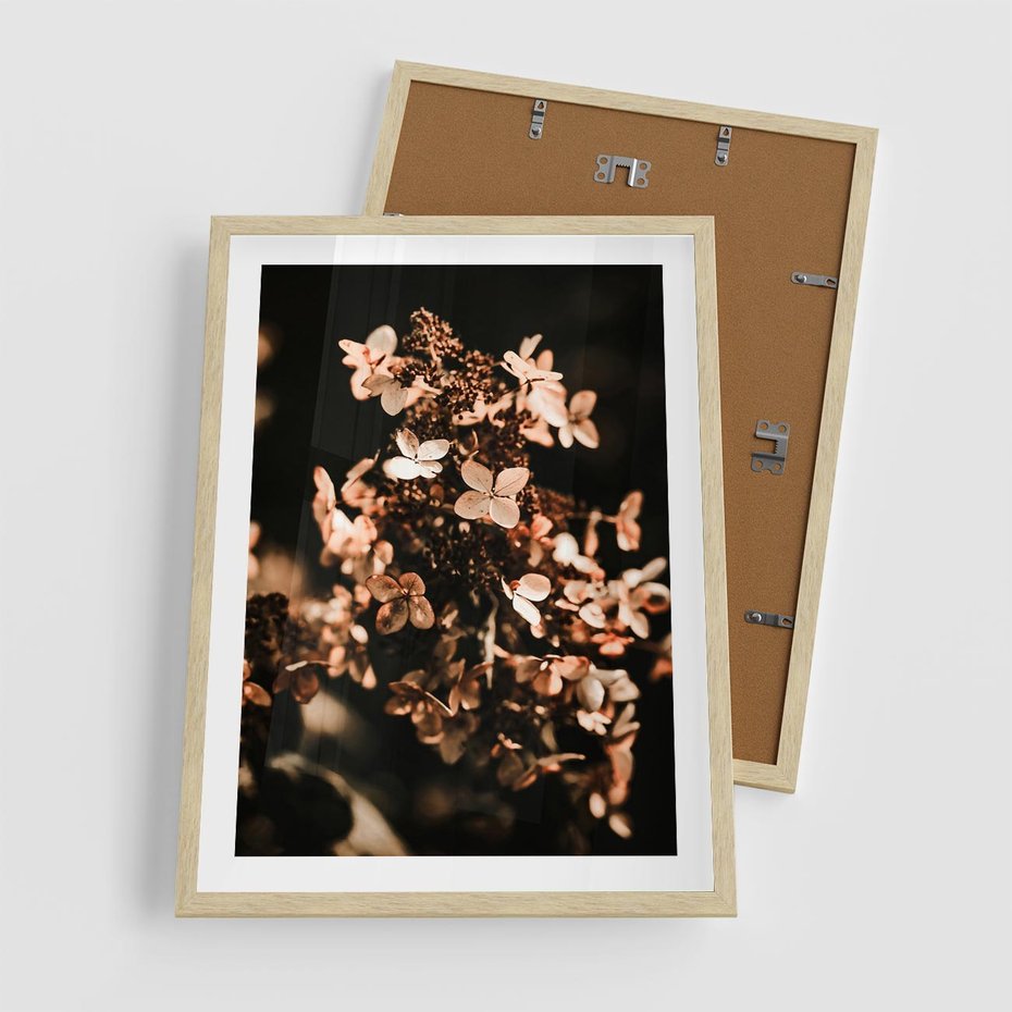Plakat w ramie 50x70 - Hortensja - Suchy Kwiat w Sztuce - hortensja, suchy kwiat - rama drewno