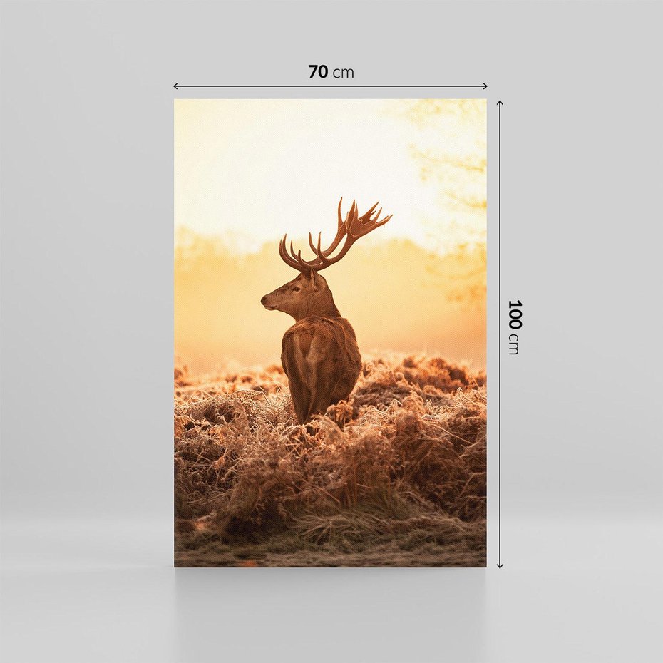 Obraz na płótnie 70x100 - Magia jesiennego słońca: Jeleń w promieniach - jeleń, jesień