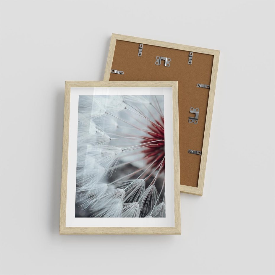 Plakat w ramie 30x40 - Makro Magii Natury - dmuchawiec, zbliżenie makro - rama drewno