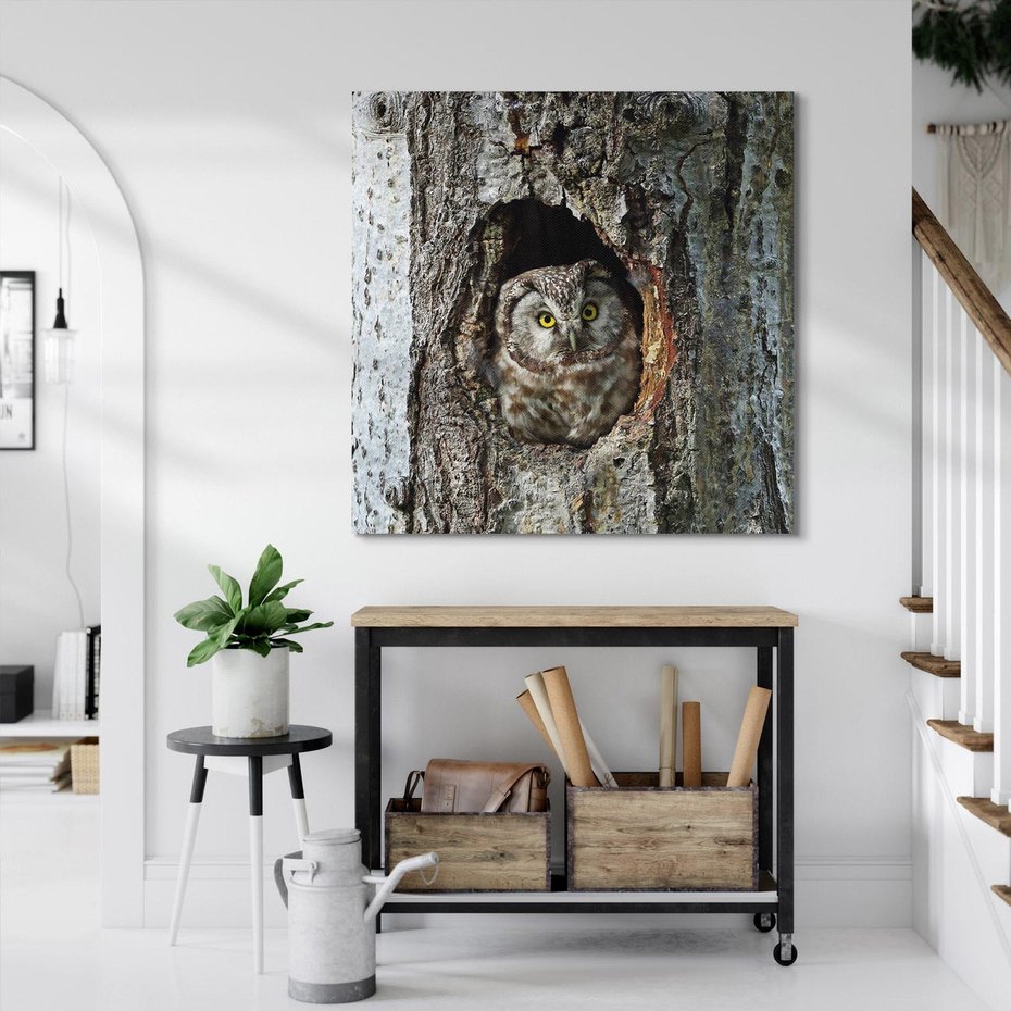 Obraz na płótnie 40x40 - Tajemniczy W świecie Nocy - sowa, dziupla