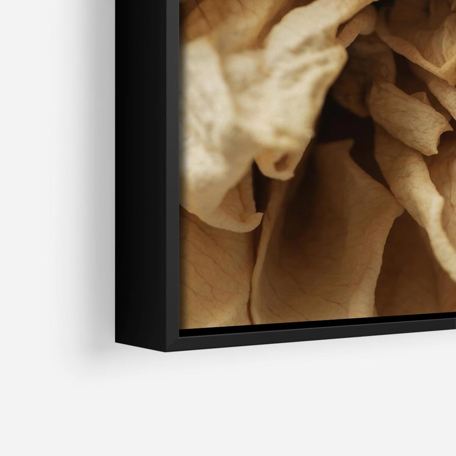 Obraz w ramie 50x50 - Zjawiskowe zasuszone kwiaty - zasuszone, kwiaty - rama czarna