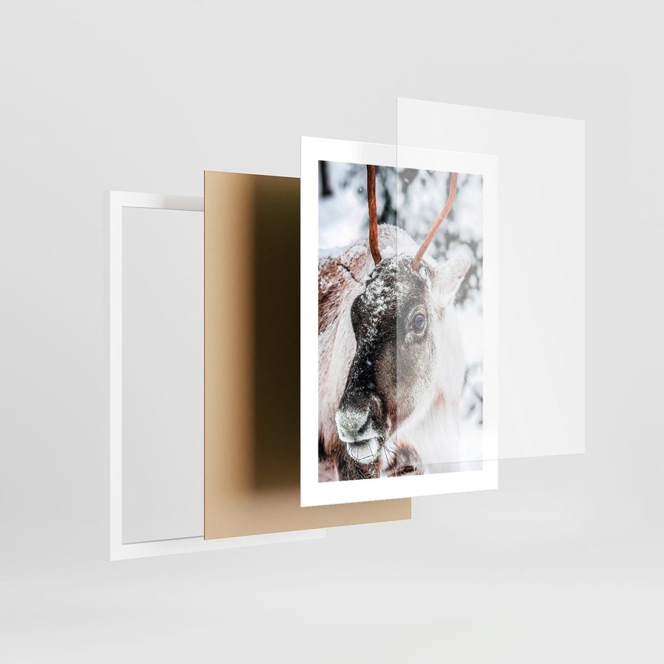 Plakat w ramie 30x40 - Renifer w Zimowej Krainie - renifer, zima - rama biała