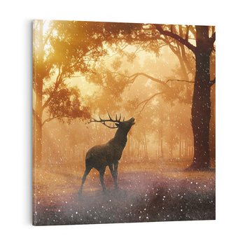 Obraz na płótnie 80x80 - Spotkanie jelena w lesie - jeleń, las