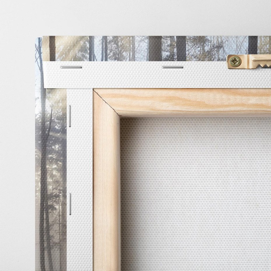 Obraz na płótnie 80x80 - Magiczne zaklęcie: Las pełen drzew - las, drzewa