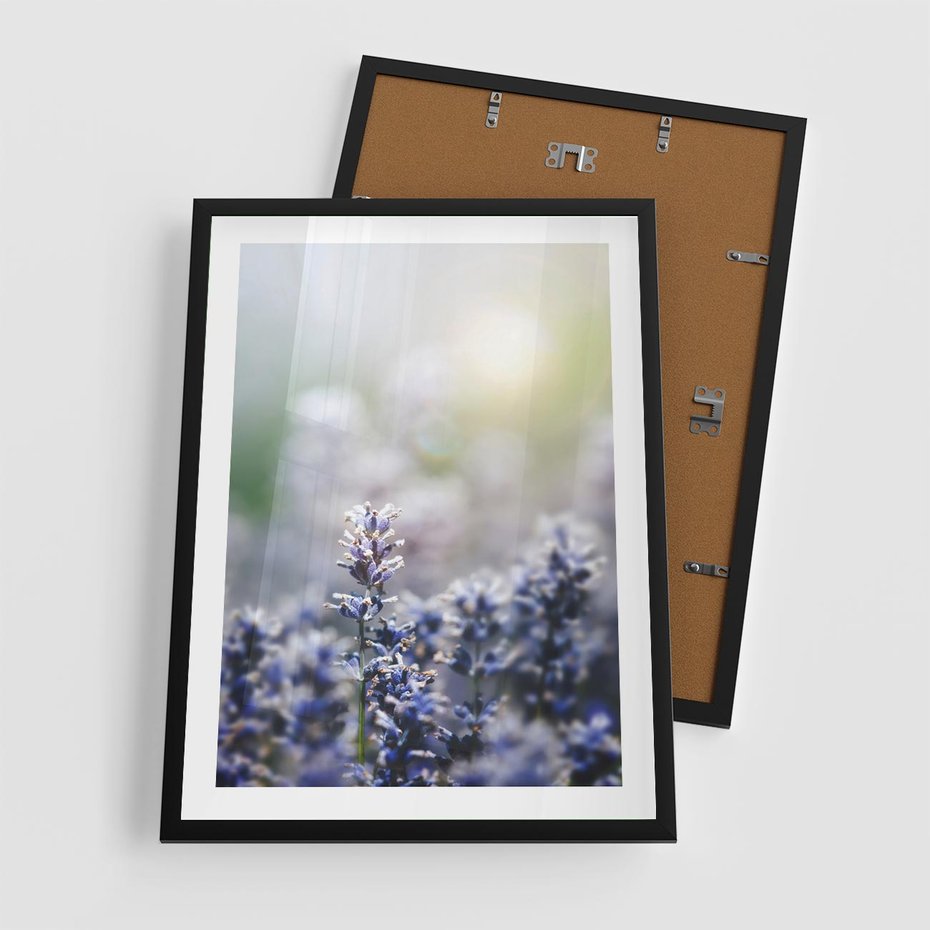 Plakat w ramie 50x70 - Delikatna Uroda Natury - wrzosy, fiolet - rama czarna
