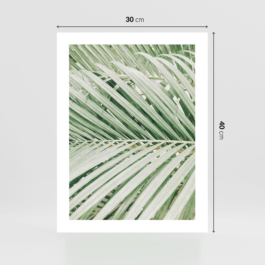 Plakat bez ramy 30x40 - Liście Palmy: Egzotyczna Grafika - palma, liście palmy