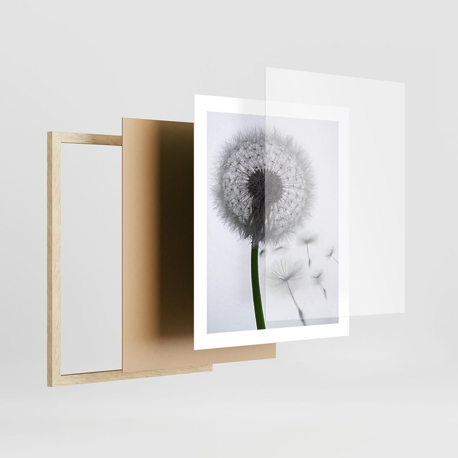 Plakat w ramie 40x50 - Lekkość Przemijania - dmuchawiec, makro - rama drewno