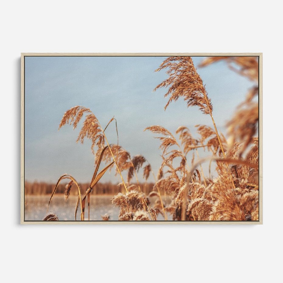 Obraz w ramie 70x50 - Wyraz Stylu - trawy, boho - rama drewno