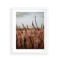 Plakat w ramie 40x50 - Wysokie Trawy w Górskim Krajobrazie - suche trawy, wysokie trawy - rama biała