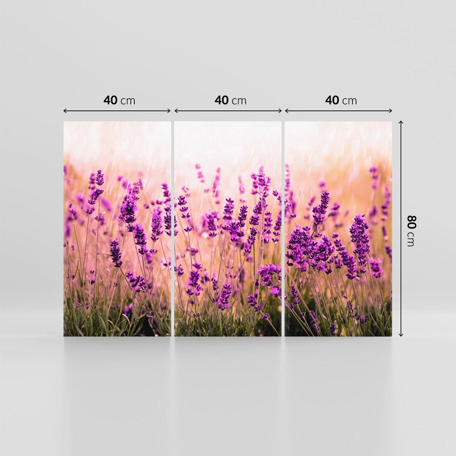 Obraz na płótnie 120x80 - Lawenda: Pachnące pole kwiatów - kwiaty, lawenda