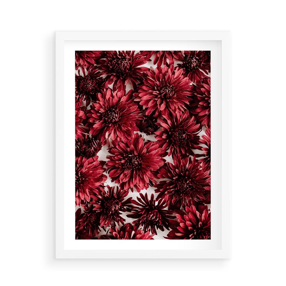 Plakat w ramie 50x70 - Energia Kwiatów - czerwone kwiaty, kompozycja - rama biała