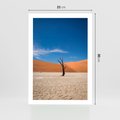 Plakat bez ramy 21x30 - Słońce i Suche Drzewo - pustynia, suche