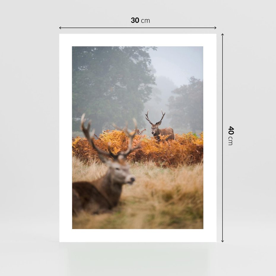 Plakat bez ramy 30x40 - Malownicza Harmonia - jelenie, jesień