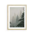 Plakat w ramie 30x40 - Mglista przemiana lasu - las, mgła - rama drewno