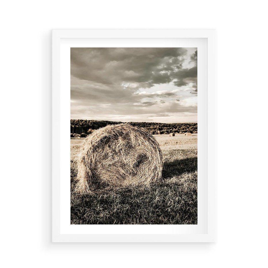 Plakat w ramie 50x70 - Ciepło Natury - snopki siana, pole - rama biała